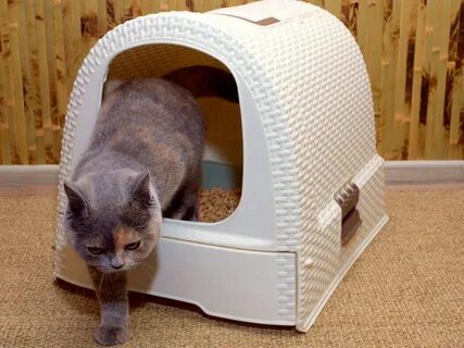 Лоток домик для кошек