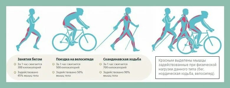 Сколько калорий сжигает бег. Сколько калорий сжигает бег