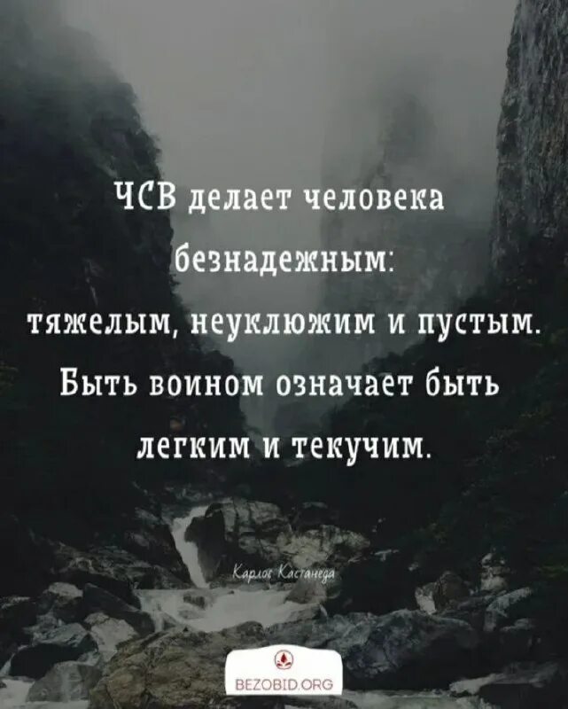 фразы чсв девушек. как понять что у человека чувство собственной важности. чсв. цитаты для фотошопа. текст песни xo.