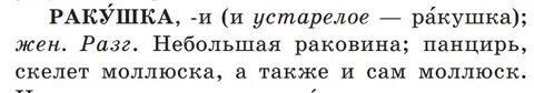 Ракушка ударение на какой слог падает