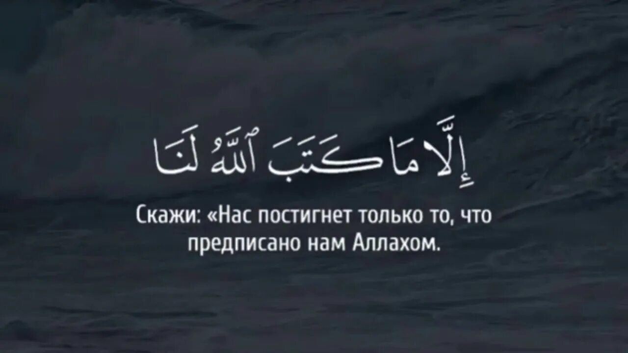 Покаяние в Коране. Сура Тауба 51 аят. Коран 9:51. Коран Сура АТ Тауба. Коран 9 29