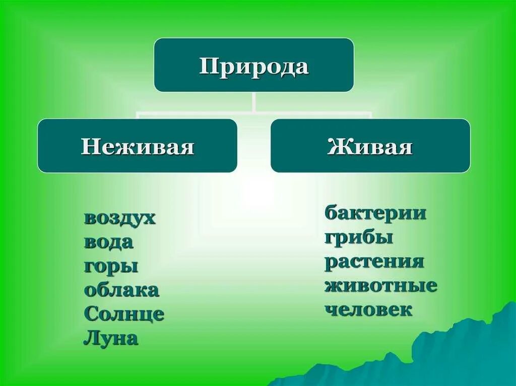 Укажи объект живой природы. Живая и неживая природа. Живая природа и ге Живая. Живая не жмвая природа. Живыя не зивая природа.