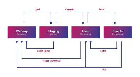 Git variables