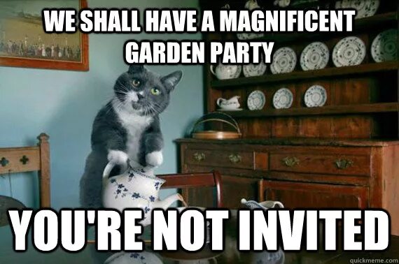 Tea Party meme. If your Party isn't this Lit. Not your Party. You're not a Cat meme. There isn t a cat