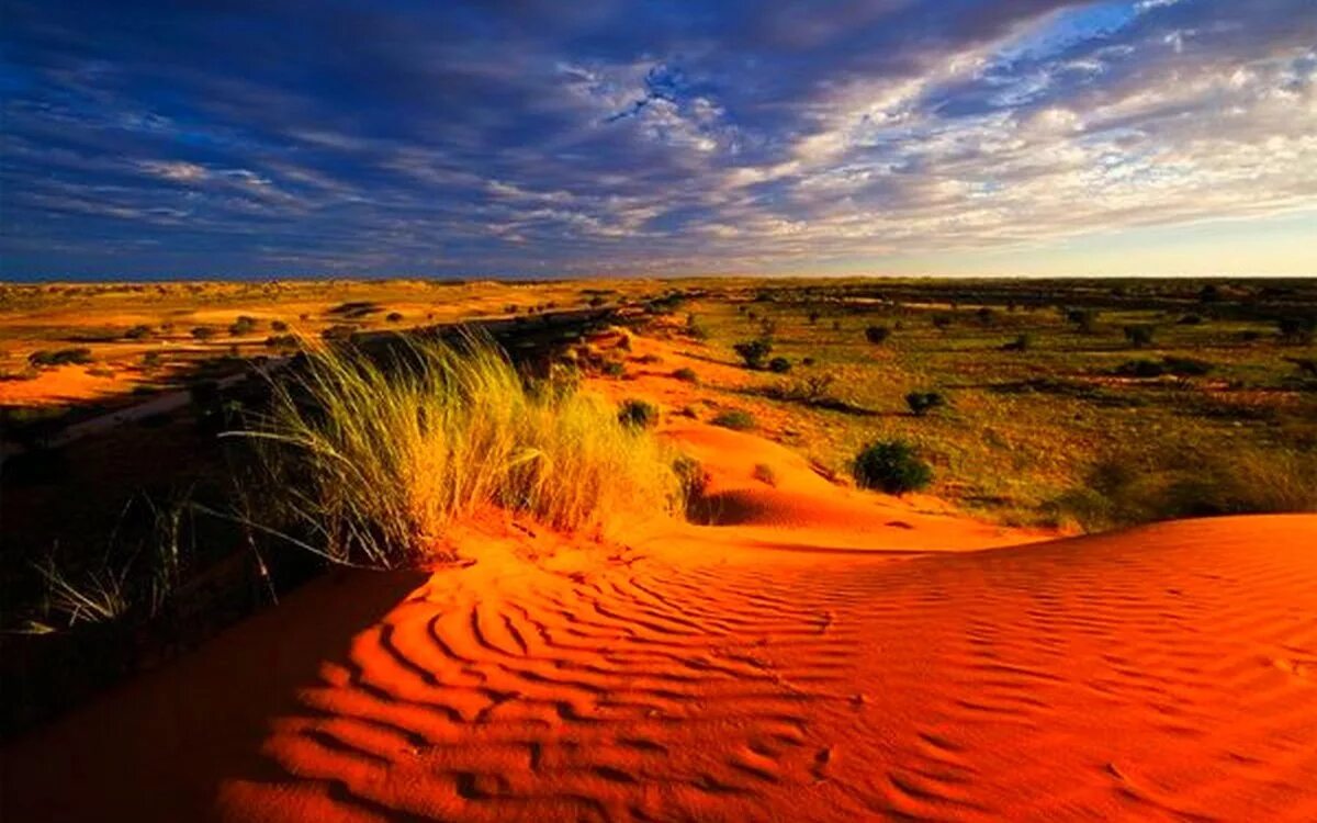 Карта пустынь африки. Саванна калахари. Границы пустыни сахара. Полупустыня калахари. Пустыня намиб.