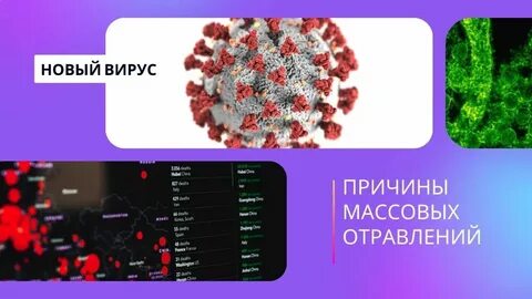 Инфекция сентябрь 2024