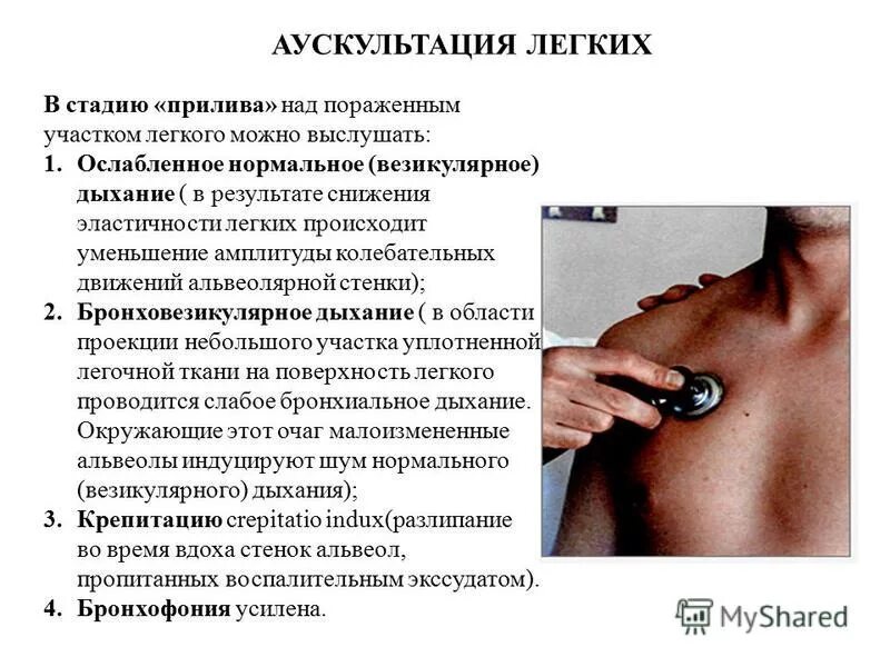 Алгоритм аускультации. Аускультация грудной клетки пропедевтика. аускультативно при пневмонии. пневмония аускультация. аускультация грудной клетки алгоритм.