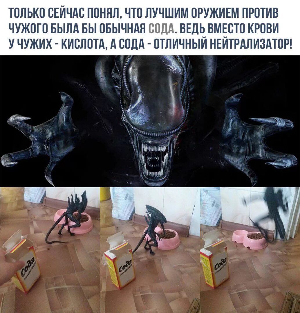 Сейчас поняли