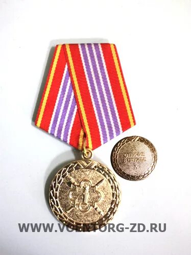 Медаль за выслугу 10 лет фсин. Выслуга лет в полиции для пенсии. Медаль 10 лет выслуги фсин. Фсин должности. Медаль за выслугу лет фсин 2 степени.