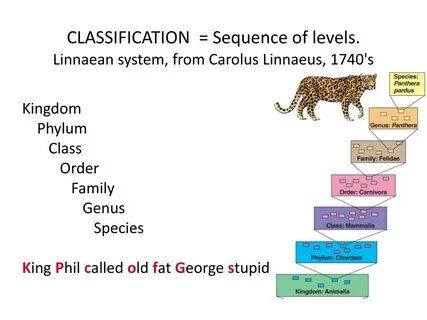 Classification system
