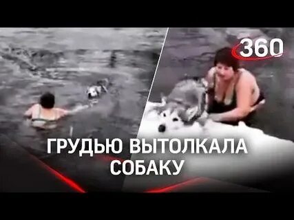 Собака спасла женщину