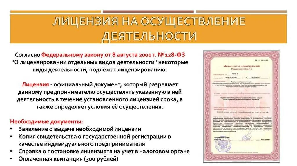 Документ подтверждающий осуществление деятельности. Документы на осуществление видов деятельности что это. Лицензия на деятельность. Лицензия на вид деятельности.