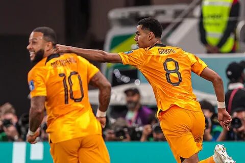 Championat mira2022 xyz