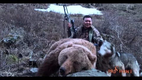 Медведь охотится на людей