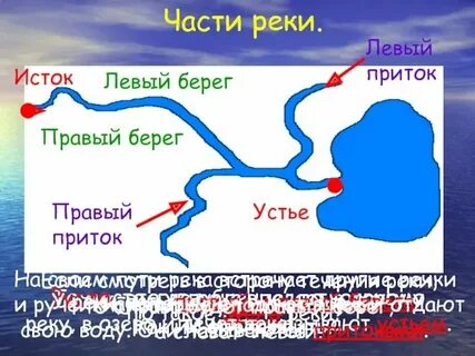 Эта река относится к