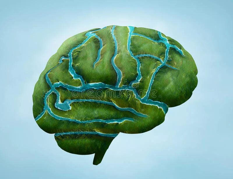 Green brain. Зеленый мозг. Мозг в форме планеты земли. Мозг зеленого цвета. Дерево в виде мозга.