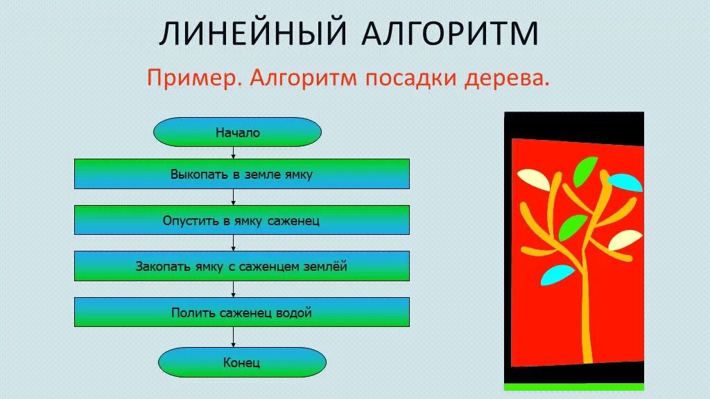 Линейный алгоритм. Линейный алгоритм примеры. Примеры алгоритмов из жизни. Линейный алгоритм посадки дерева. Линейная презентация 6 класс