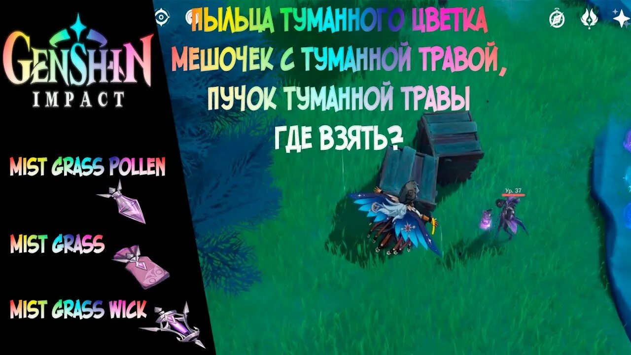Как найти туманные цветы в геншин. Пучок туманной травы геншин. мешочек с туманной травой геншин импакт. геншин импакт пучок туманной травы. пыльца туманной травы геншин.