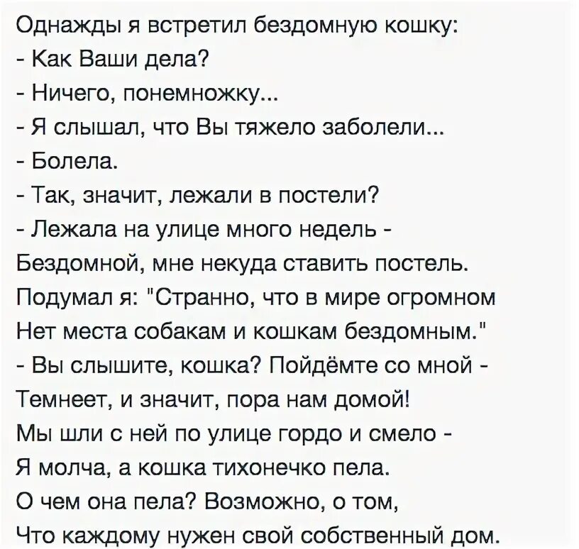 Стих бомжа. Однажды я встретил бездомную кошку стихи. Однажды я встретил бездомную кошку как ваши дела. Однажды я встретил бездомную кошку текст. Дмитриев бездомная кошка.