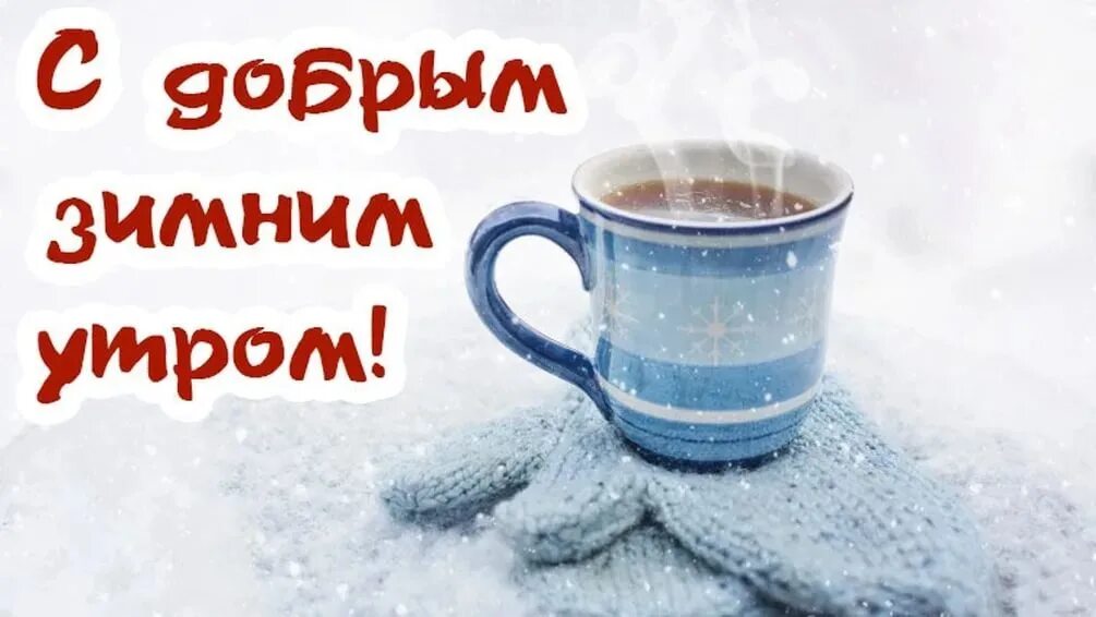 Морозное доброе утро прикольные и самые теплые. Доброе утро зима. доброе холодное зимнее утро. с добрым зимним утром прикольные. с добрым снежным утром прикольные.