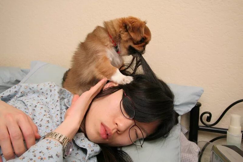 С добрым утром с собаками. Собака разбудила. Собачка проснулась. Собака будит утром. Собака будит хозяйку.