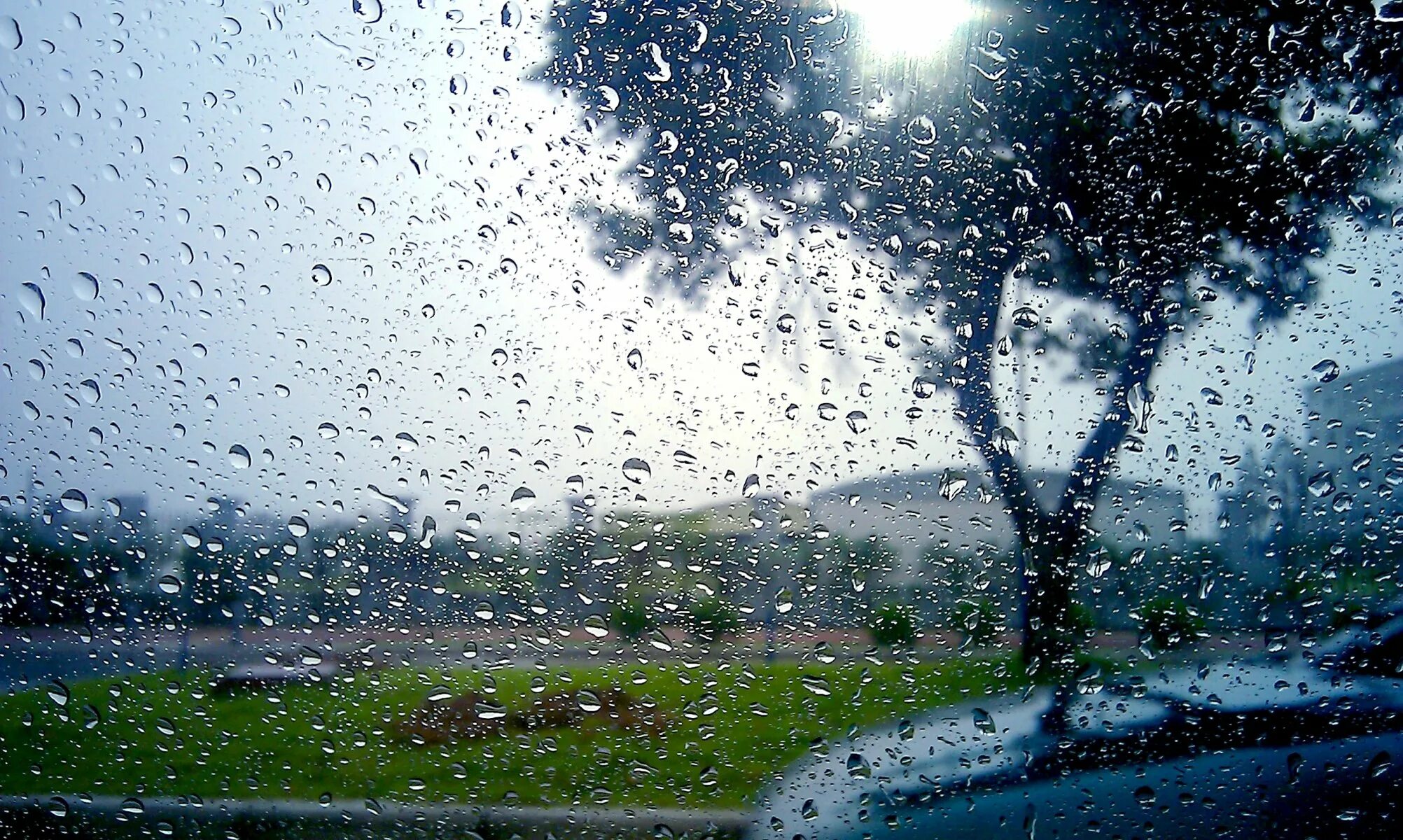 Дождливые картинки. Ливень. Природа дождь. Дождливый день. Проливной дождь.