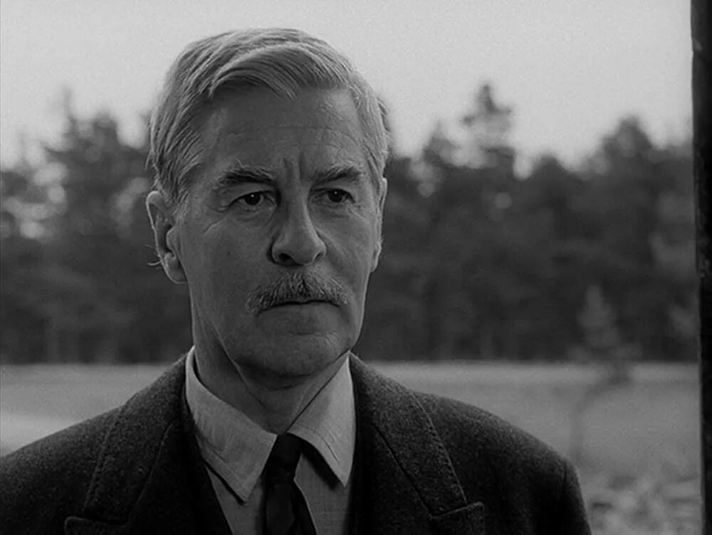 Гуннар бьёрнстранд. Седьмая печать / det sjunde inseglet (1957) актеры и роли. Гуннар бьёрнстранд травля. Гуннар бьёрнстранд в молодости. Гуннар бьернстранд.