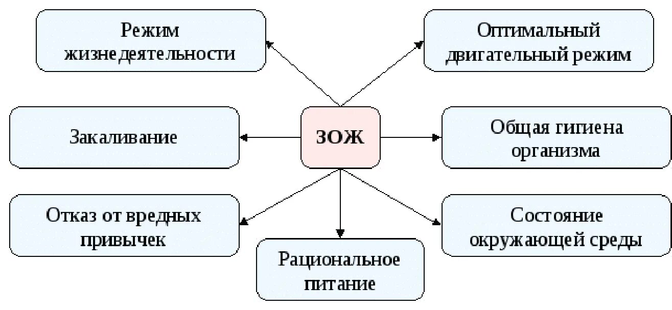 Составляющие здорового образа жизни. Основные составляющие здорового образа жизни обж. Компоненты нездорового образа жизни. Компоненты здорового образа жизни. Компоненты здорового образа жизни.