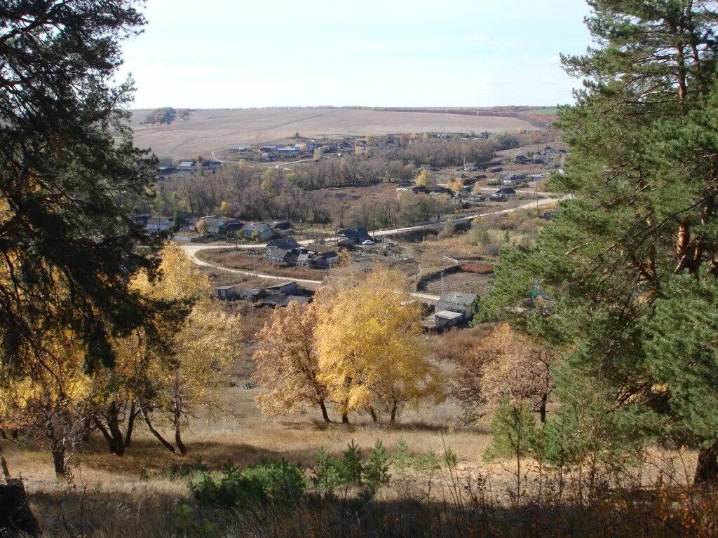 Погода село сосновка алтайский. Погода село сосновка алтайский