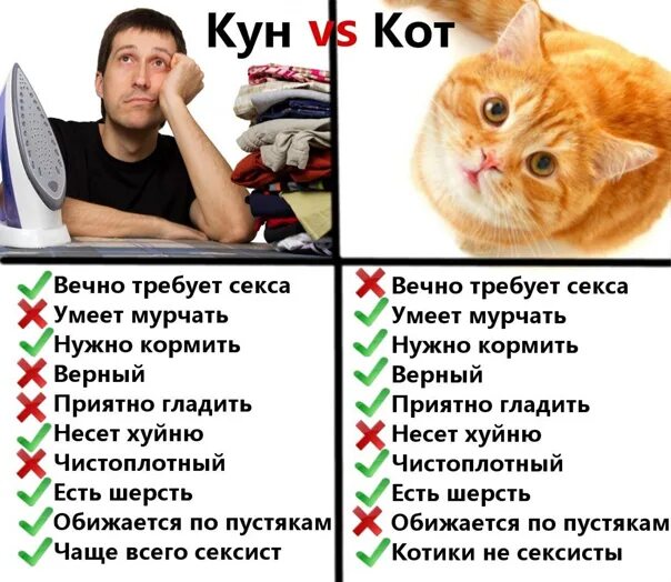 Почему Не Хотят Делать Куни