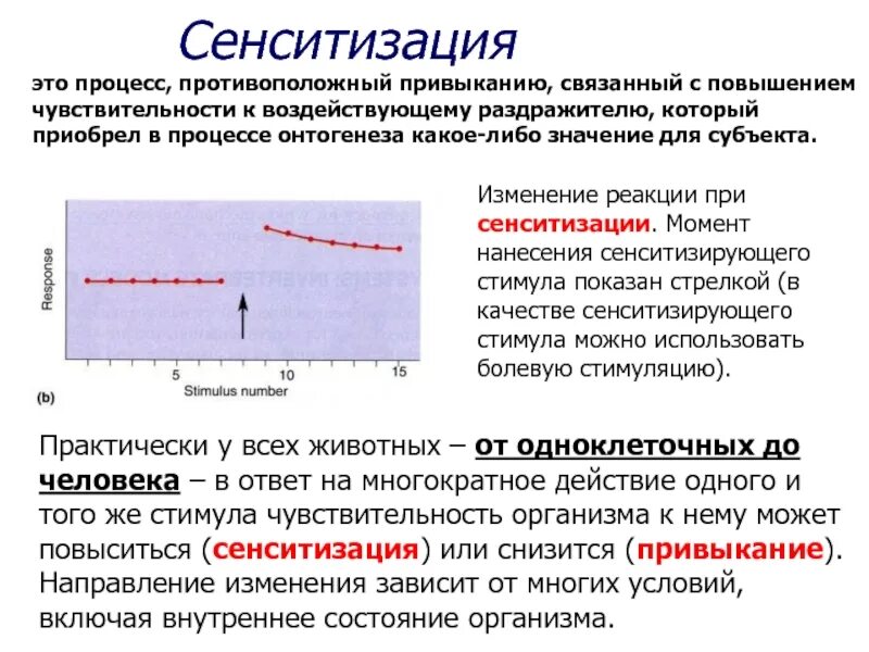 Сенситизация. Сенситизация это физиология. Сенситизация научение. Сенситизация и десенситизация рецепторов. Реагирует на изменение температуры