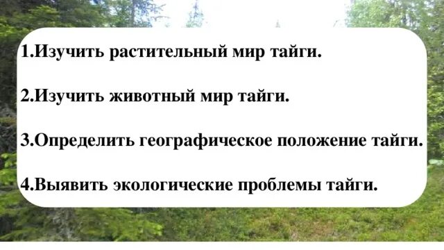 Основная причина экологических проблем в тайге. Экологические проблемы тайги. Экологические проблемы Тай. Экологические проблемы тайги кратко. Эколог проблемы тайги.