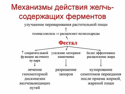 Какие ферменты в желчи