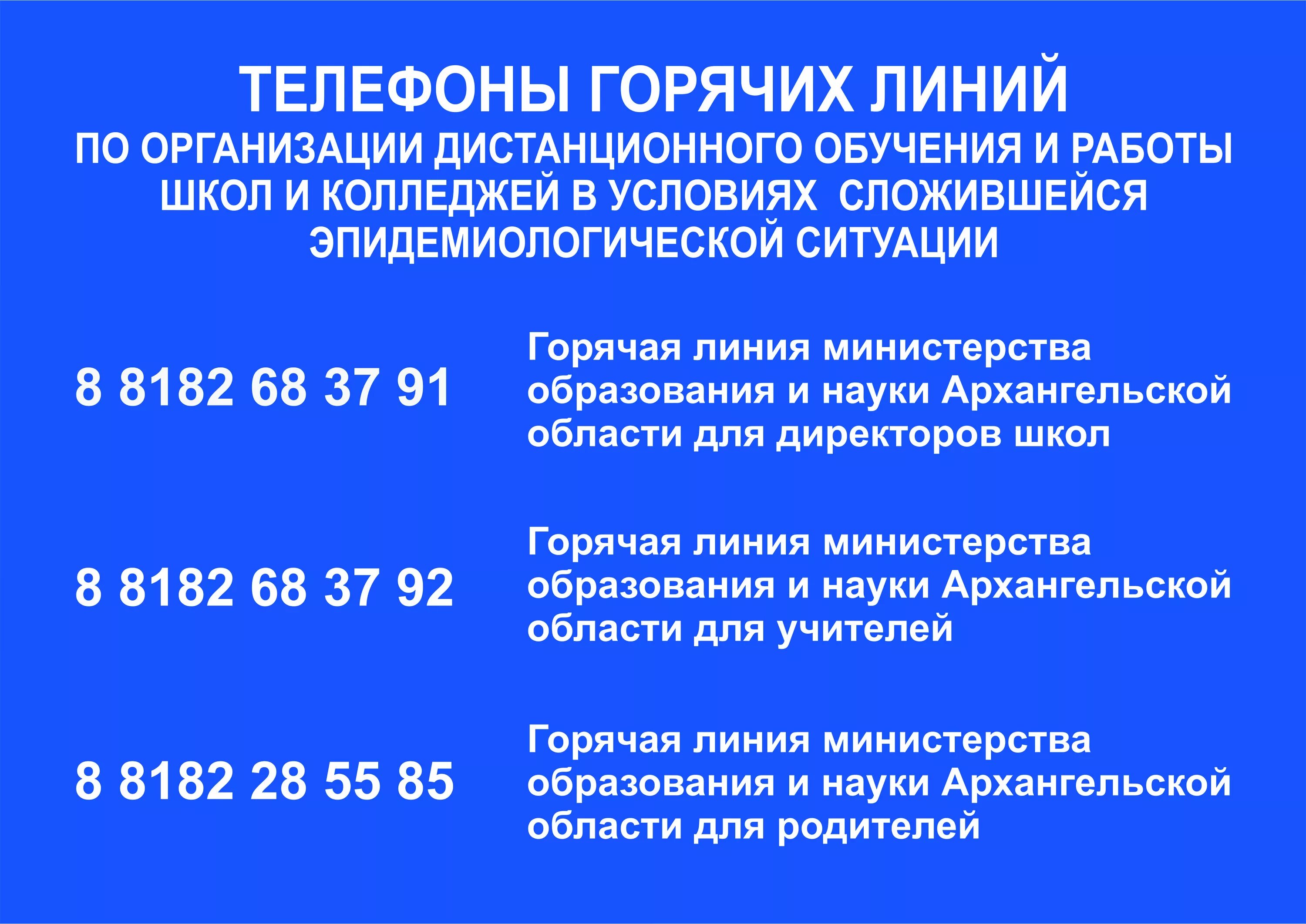 Сфр ростовской области горячая линия. Горячая линия. Номер телефона горячей линии. Горячая линия администрации города. Список номеров горячих линий.