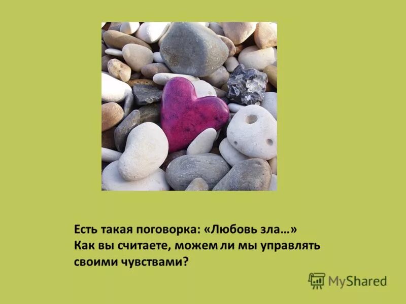 любовь зла поговорка. любовь полюбишь и козла. козел. любовь зла полюбишь и козла картинки. пословицы любовь зла.