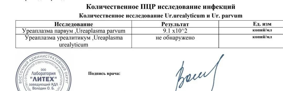 Уреаплазма парвум. Уреаплазма парвум ПЦР количественный. Уреаплазма при беременности.