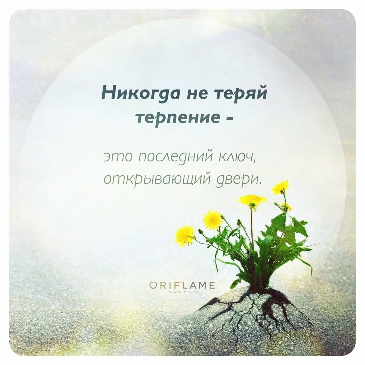 Мотиватор о терпении. Афоризмы про терпение. Дождитесь терпения. Дождитесь терпения. Сил и терпения картинки пожелание.