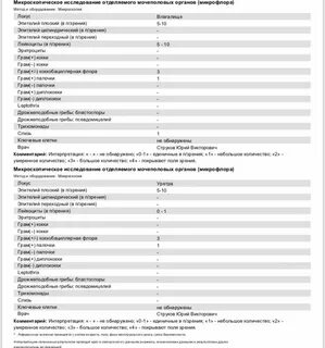 Исследование мочеполовых органов расшифровка