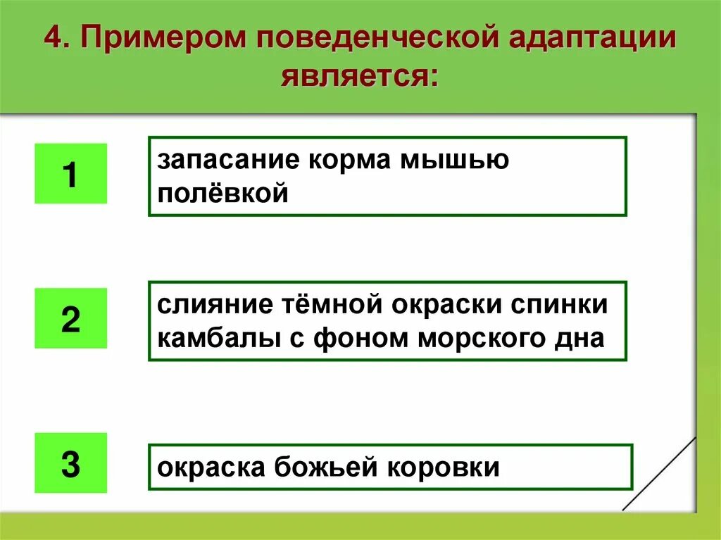 Он являлся примером. Поведенческие адаптации примеры. примером поведенческой адаптации является:. поведенческие адаптации примеры адаптации. поведенческие адаптации примеры животных.