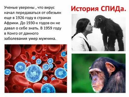 Ученые о вич последние