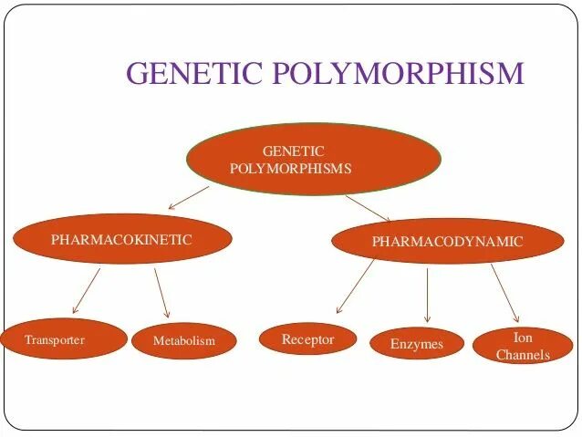 Genetic polymorphism