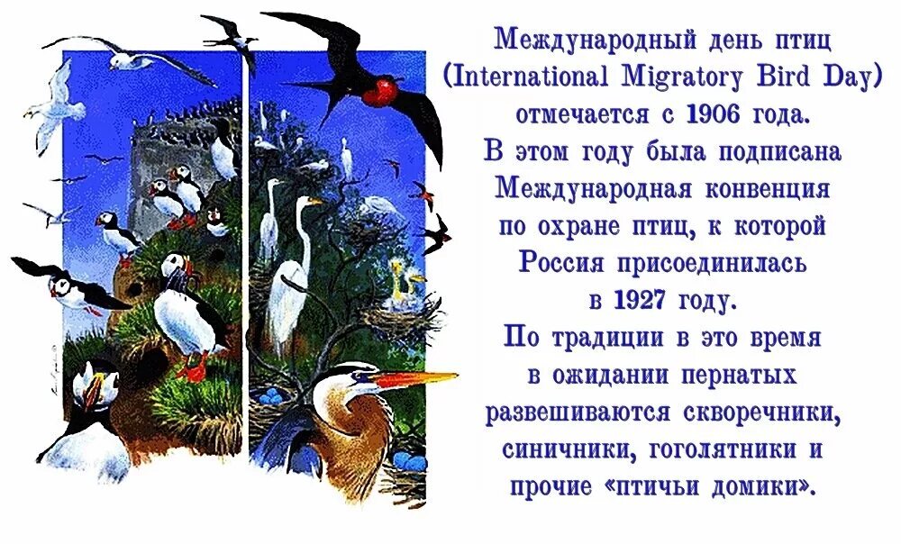 1 апреля всемирный день птиц. Международный день Пти. День птиц. Междунаровныйденьптиц. Международный праздник птиц.