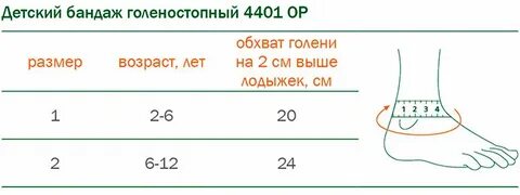 Окружность голеностопного