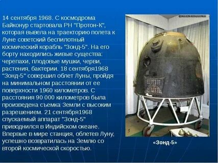 Зонд 5
