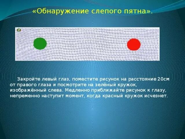 Обнаружение слепого пятна практическая. Слепое пятно строение и функции. Обнаженте слепого пятна. Слепое пятно глаза. Выявления слепого пятна в глазу.