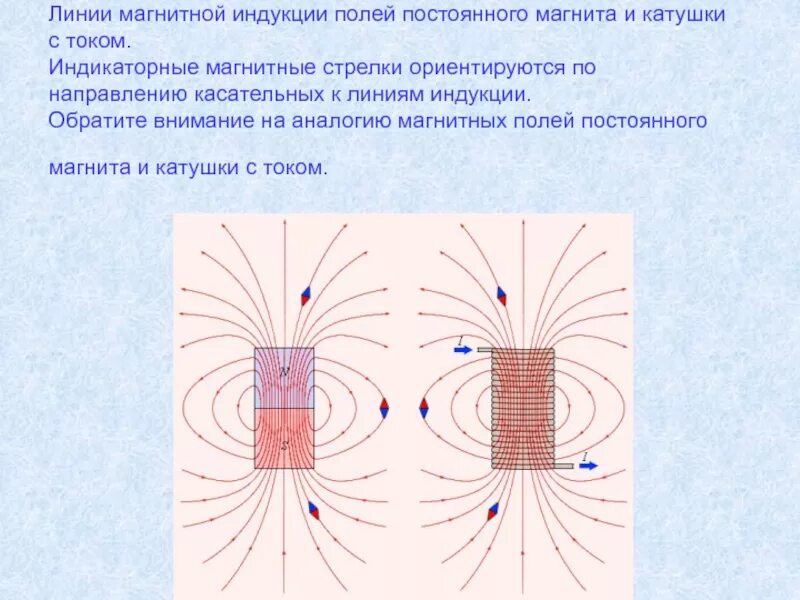 Виды линий магнитной индукции. Магнит линии магнитной индукции. Линии индукции магнитного поля магнита. Линии индукции магнитного поля постоянного магнита. Линии магнитной индукции полей постоянного магнита и катушки с током.