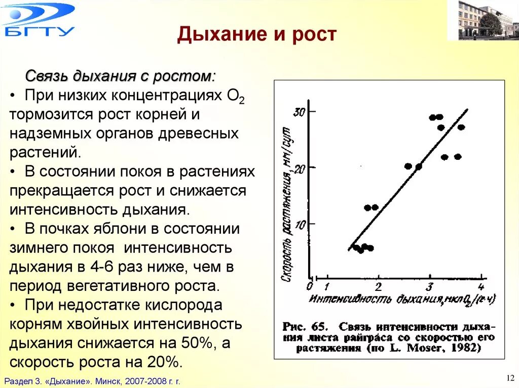 Интенсивность дыхания растений. Интенсивность дыхания растений формула. Как определяют интенсивность дыхания. График интенсивности дыхания растений.