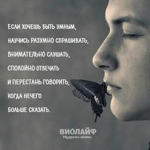 Текст песни если вы нахмурясь выйдете. Виолайф мудрость жизни. Если вы нахмурясь выйдете из дома картинки. Если вы нахмурясь выйдете из дома картинки прикольные. Открытки если вы нахмурясь выйдите из дома.