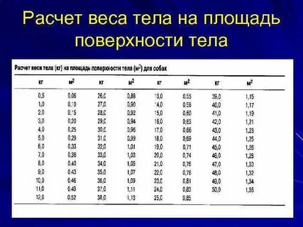 Как определить площадь поверхности тела