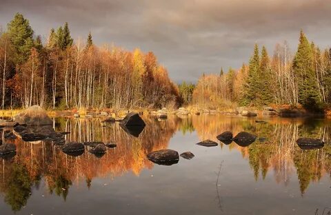 Оценка пейзажа